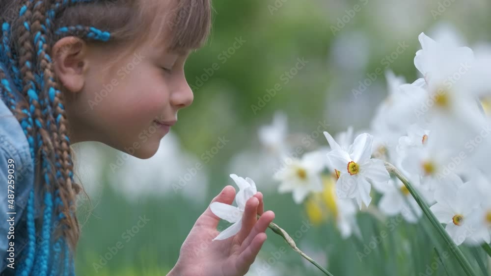 Happy child girl playing in summer garden enjoying sweet scent of white narcissus flowers on sunny day Happy child girl playing in summer garden enjoying sweet scent of white narcissus flowers on sunny day