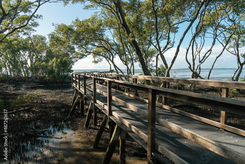 View across wooden boardwalk in the mangrove wetlands to the waters of Moreton Bay. Wynnum, Queensland, Australia. 