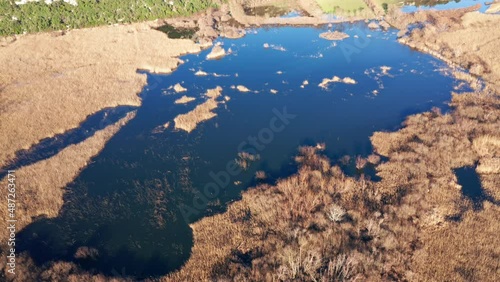 Blue lake surrounded by yellow grass - reeds and rush encircling a pond by Sasko lake in Montenegro. Aerial drone view of a landscape with marsh vegetation on a sunny day. photo