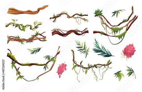 Fotografia, Obraz Liana or vine winding branches cartoon vector illustration