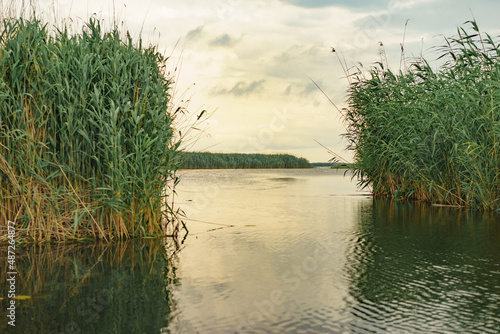 The Danube delta at sunset