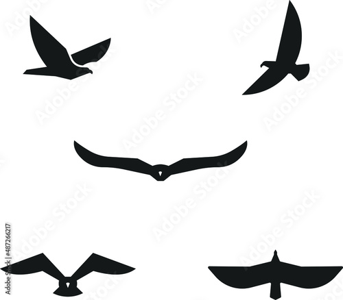 flying eagle silhouette