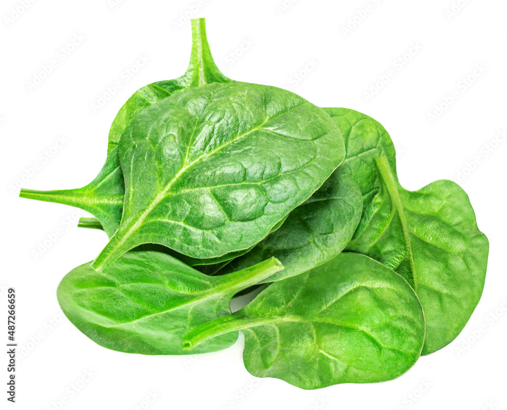 Spinach leaves isolated on white background. Fresh Spinach Closeup. Top view. Flat lay.. Spinach leaves isolated on white background. Fresh Spinach Closeup. Top view. Flat lay..