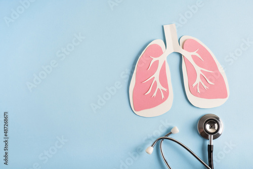 Lungs paper decorative model with medical stethoscope on light blue background. World tuberculosis TB day, pneumonia, respiratory diseases concept. Top view, flat lay, copy space photo
