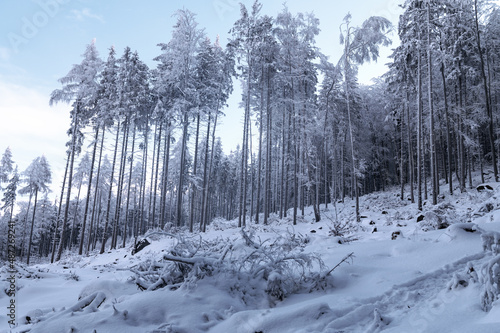 Zima w lesie. Las pokryty śniegiem zimową porą. Zimowy widok na las. Zmrożony las pokryty śniegiem. Ślęża pokryty śniegiem. Góra Ślęża pokryta śniegiem. Górski szlak zimą pokryty śniegiem. 