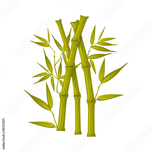 Bamboo Stick as China Object and Traditional Cultural Chinese Symbol Vector Illustration