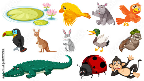 Set of isolated various animals