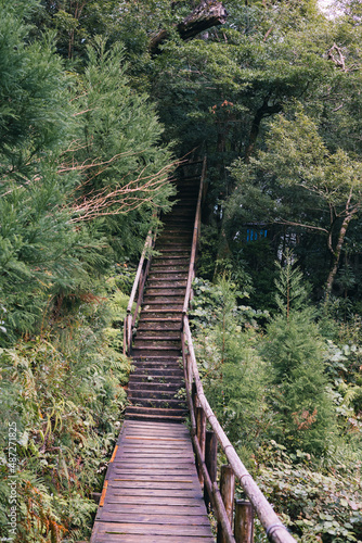 Landscape in Yakushima ,Japanese natural heritage.