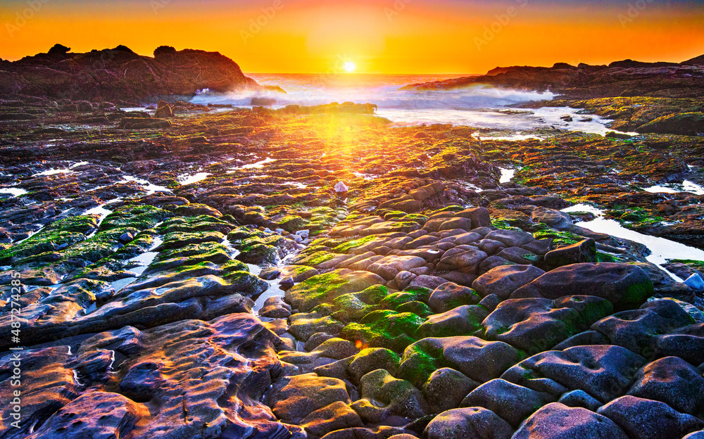 Obraz premium Sunset glow at Weston Beach highlighting rocks, pebbles, and moss