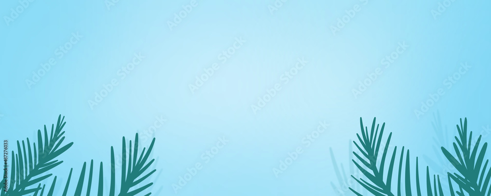 Fototapeta premium palm leaf background