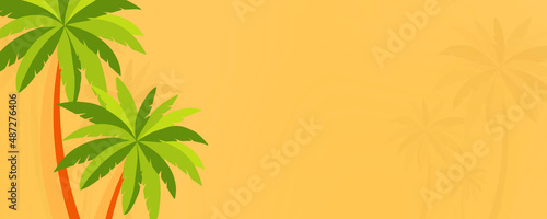 palm tree background