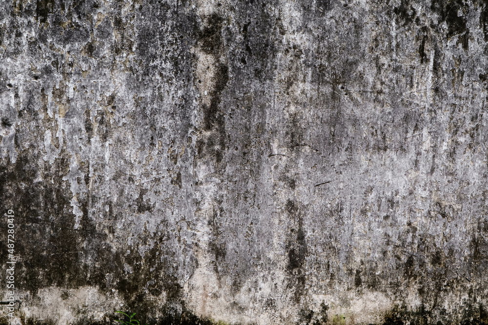 Fototapeta premium Textured dirty rough cement concrete background. Grunge wall for pattern and background.