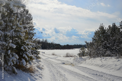 A snow-covered road past pine trees. A sunny day. The bank of the Siberian River. Beautiful sky with clouds