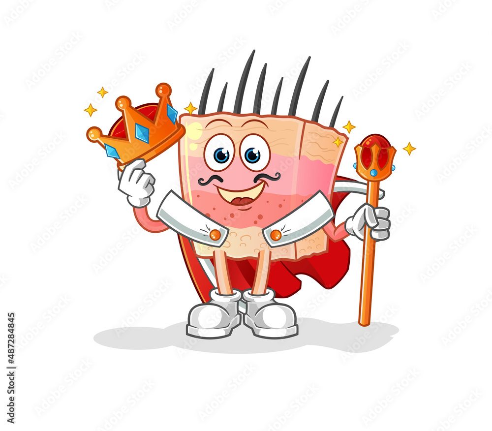 Obraz premium skin structure king vector. cartoon character
