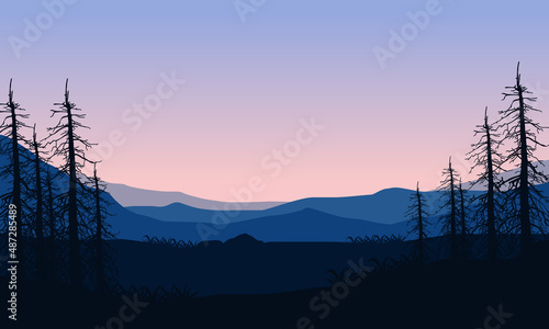 Mountain view with a realistic silhouette of dry fir trees from the countryside edge at dusk