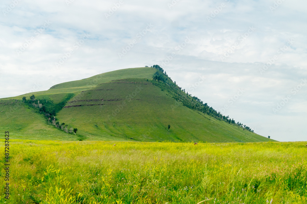 Fototapeta premium Beautiful steppe landscape: meadow, hills and sky. Khakassia, Russia.