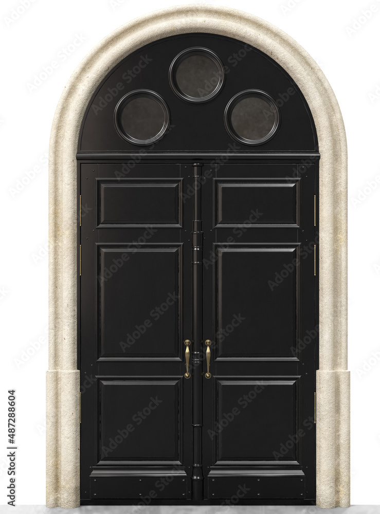 Entrance classic doors for the house Entrance classic doors for the house