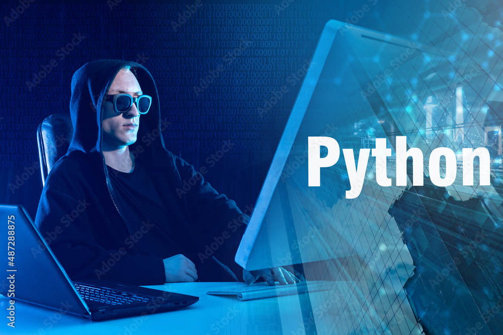 Python programmer. Man develops programs and web services. Web ...