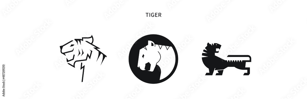 Chinese Zodiac 中國十二生肖 - TIGER 虎