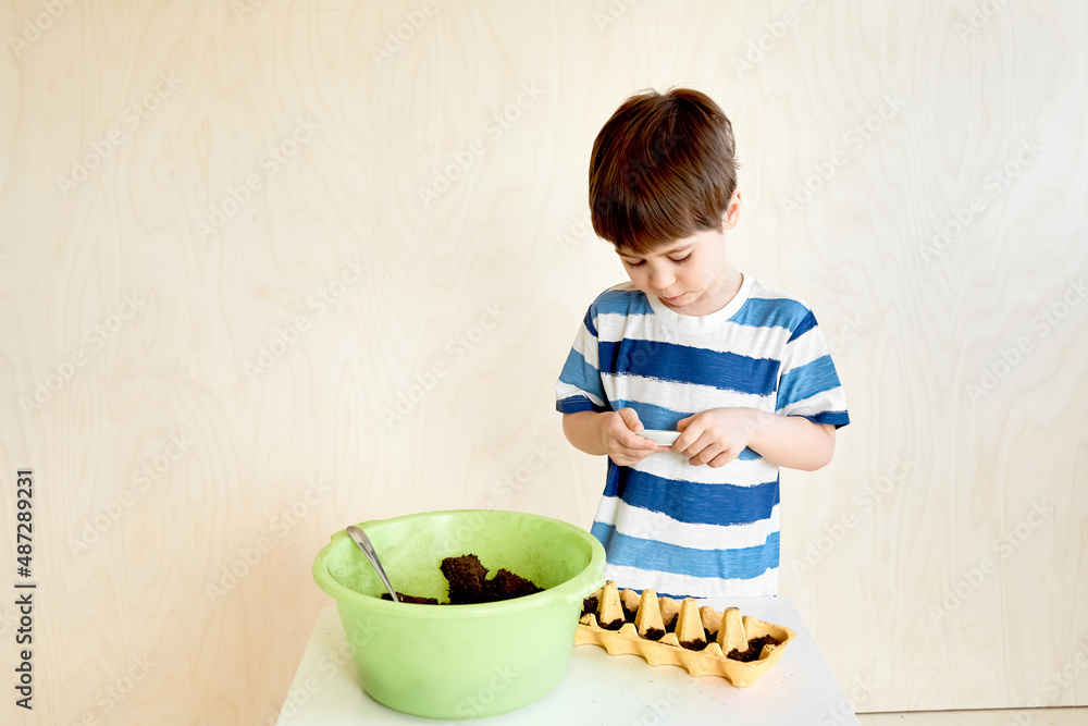 A little boy is planting seeds for seedlings.Life hack for gardeners. An interesting activity and a useful hobby for child. Preschool education. Human and nature. Growing plants. Farming. Copy space. A little boy is planting seeds for seedlings.Life hack for gardeners. An interesting activity and a useful hobby for child. Preschool education. Human and nature. Growing plants. Farming. Copy space.