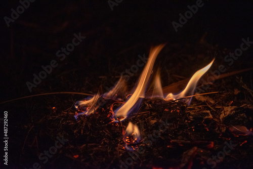 burning leaves on the ground