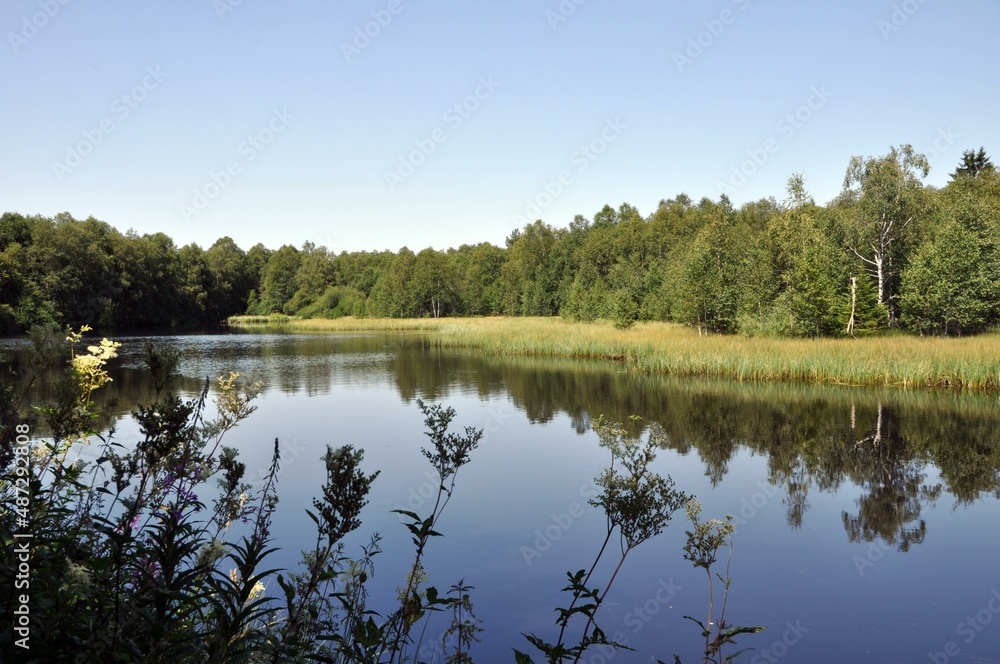 Fototapeta premium Das schwarze Moor in der Rhön