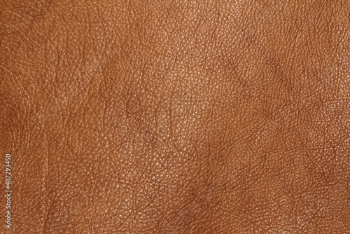 the texture of genuine calfskin of the highest quality of dressing