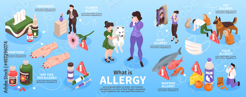 What Is Allergy Infographics