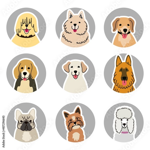 Heads of various dog breeds cartoon color illustration on white background