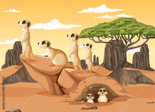 Desert background with a group of meerkats