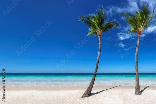 Coco palms beach. Tropical white sand beach, blue sky and the turquoise sea on Caribbean island. © lucky-photo