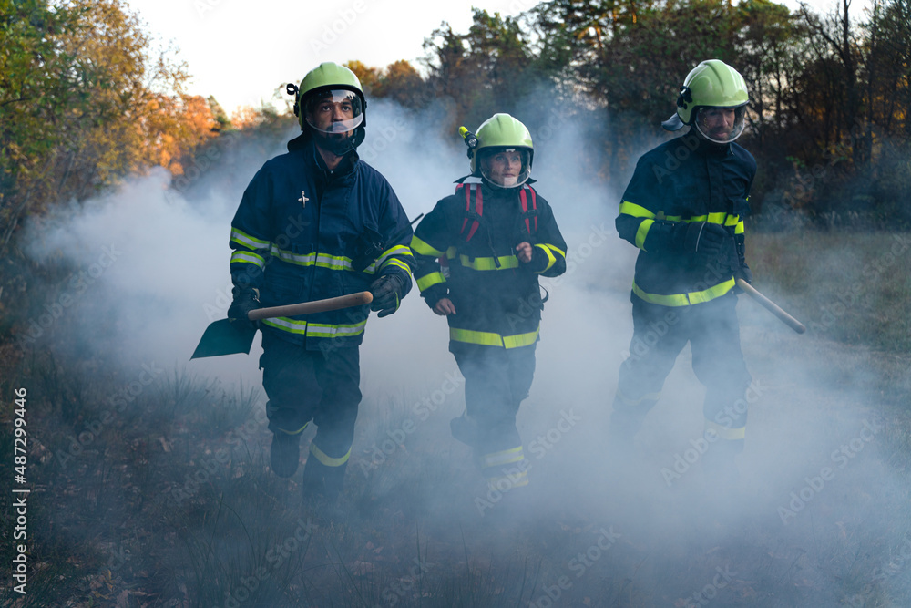 Fototapeta premium Firefighters men and woman at action, running through smoke to stop fire in forest.