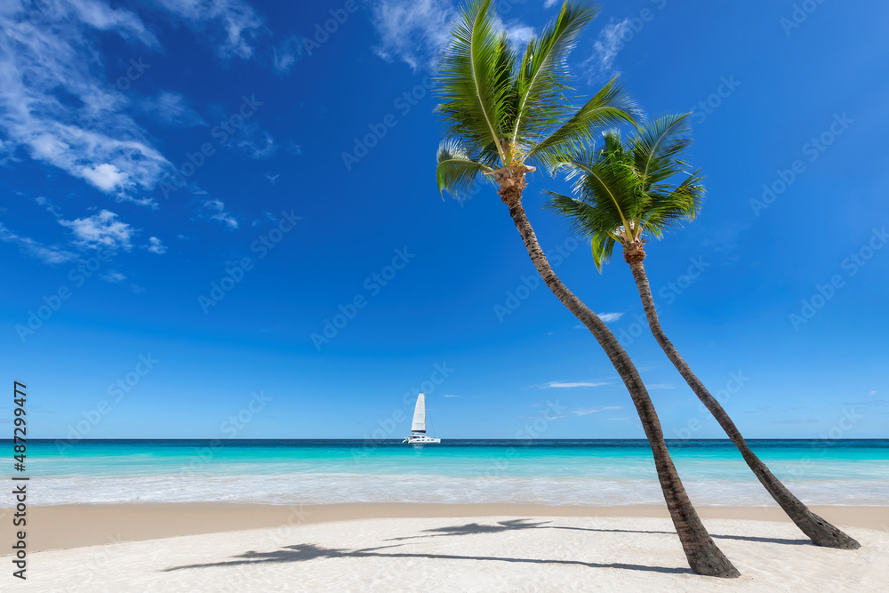 Palm trees in Paradise white sand beach, blue sky and sailboat in tropical sea in exotic island.