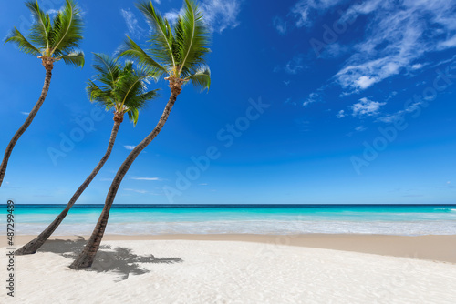 Three palm trees on sunny tropical beach. 
