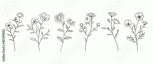 Minimalist flowers and botanic collection. Hand drawn floral branch, leaves herbs and wild plants set in line style. For decoration, wedding and invitation card, design project.