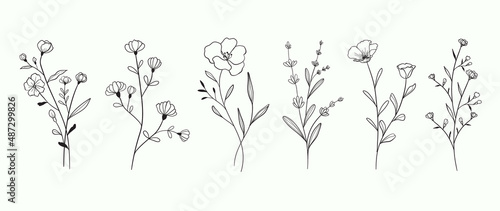Minimalist flowers and botanic collection. Hand drawn floral branch, leaves herbs and wild plants set in line style. For decoration, wedding and invitation card, design project.