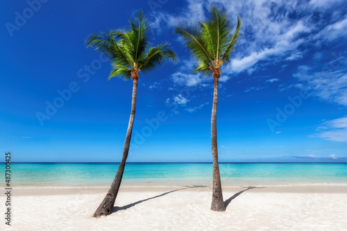 Tropical Sunny beach with coco palms, blue sky and the turquoise sea on Caribbean island. Summer vacation and travel concept.