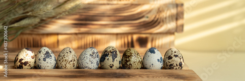 Fototapeta Quail eggs stand in a row on a wooden background