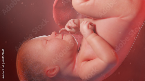Photographie 3d rendered illustration of a human fetus - week 39