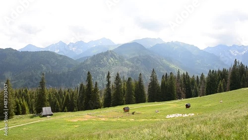 Tatra Mountains - Rusinowa Polana (Rusinowa Glade), Tatra National Park, Poland