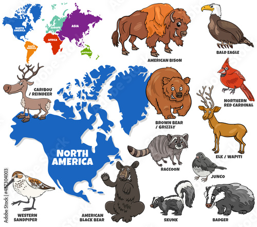 educational illustration of cartoon North American animals set