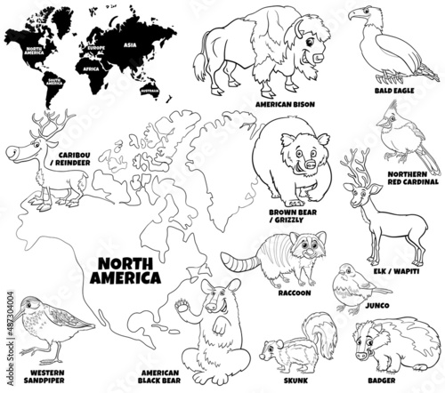 cartoon North American animals set coloring book page
