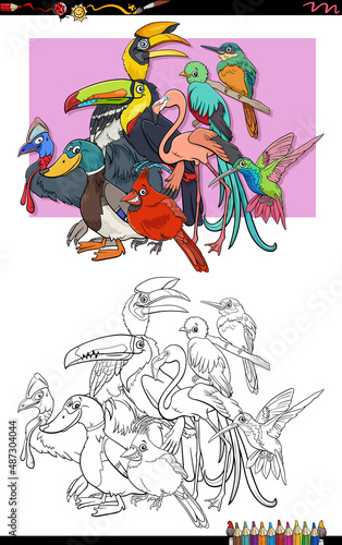 cartoon birds animal characters group coloring book page