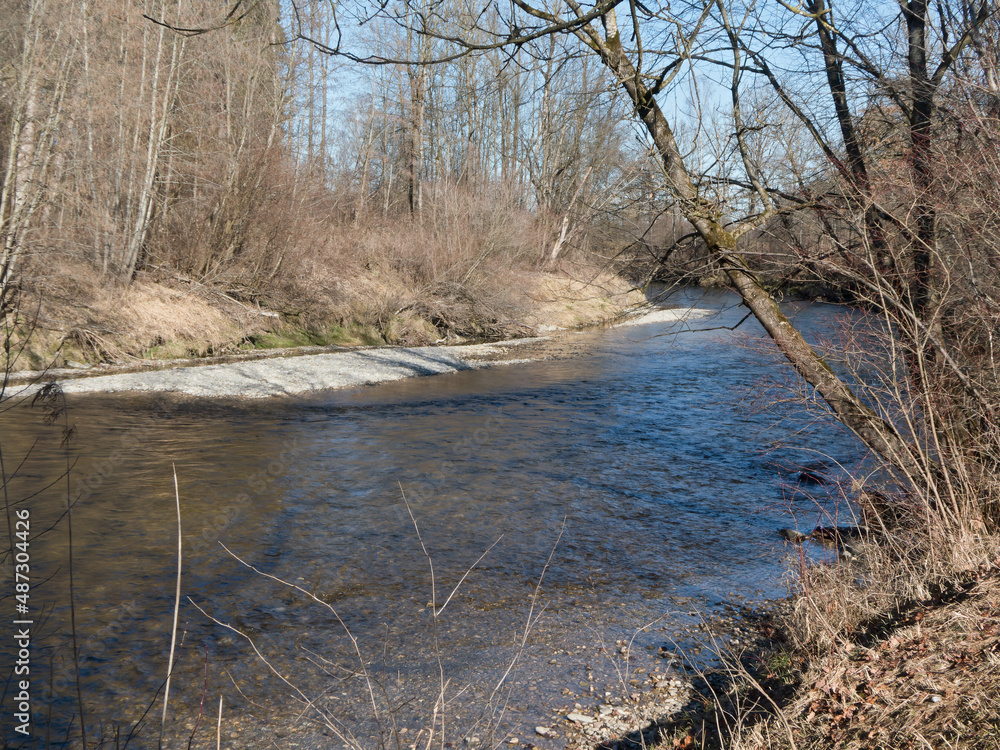 auwald an der naturnahen ammer bei polling, oberbayern