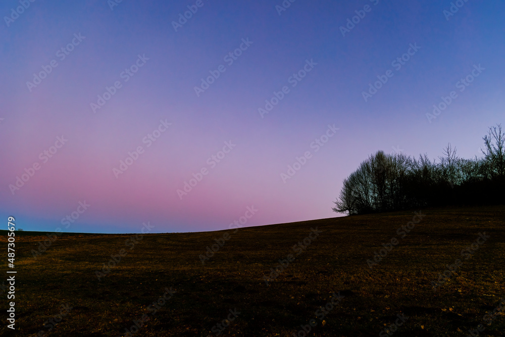 Slightly curved meadow at the edge of the forest under cloudless sky in the evening at blue hour Slightly curved meadow at the edge of the forest under cloudless sky in the evening at blue hour
