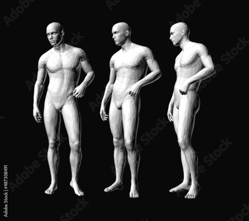 Models of polygonal people in different poses. 3D human body model. Vector for brochure, flyer, presentation, logo or banner.