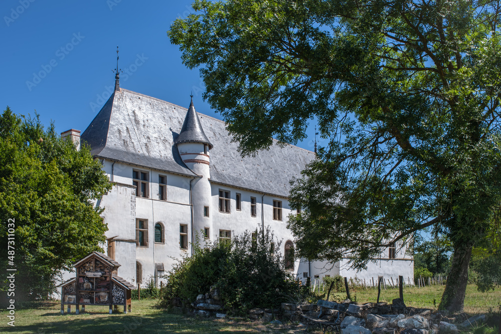 Fototapeta premium Château de la Bastie d'Urfé, Saint-Étienne-le-Molard, Loire, France