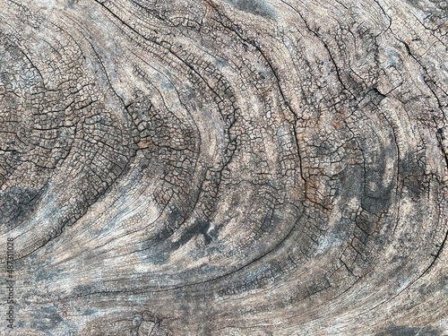 Old wood texture, top view of wood background. Wood plank.