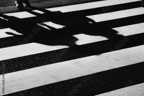 横断歩道と人の影 © 黒水 雪那