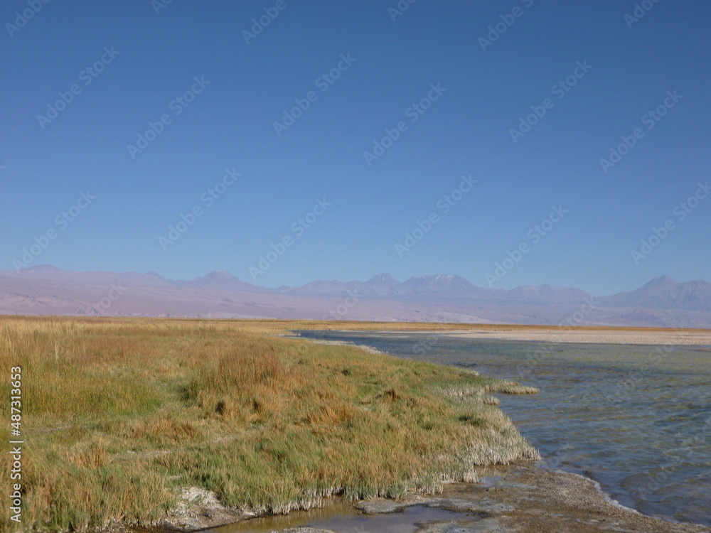 Photograph taken on a sunny day around Atacama desert region at Chili, showing the architecture and colours of this historical place. Rocks formation, lagoons, fauna and geysers. Photograph taken on a sunny day around Atacama desert region at Chili, showing the architecture and colours of this historical place. Rocks formation, lagoons, fauna and geysers.